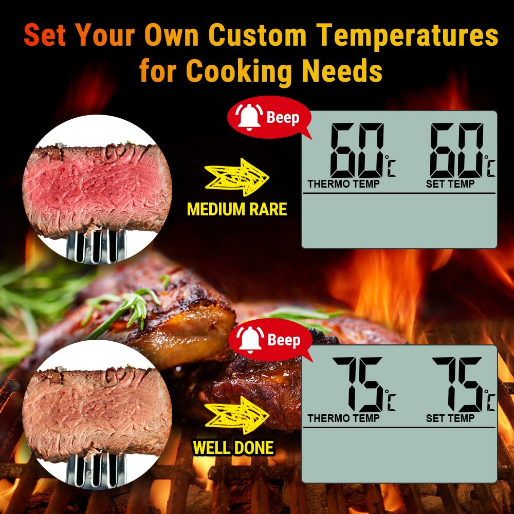 ThermoPro Barbecuing & Smoking Thermometer